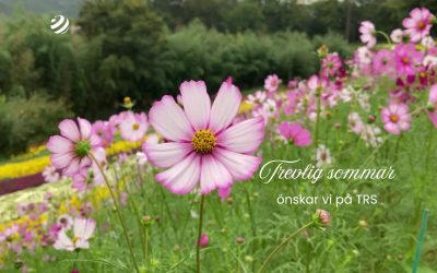 Sommaren är här – och vi vill tacka dig! ☀️